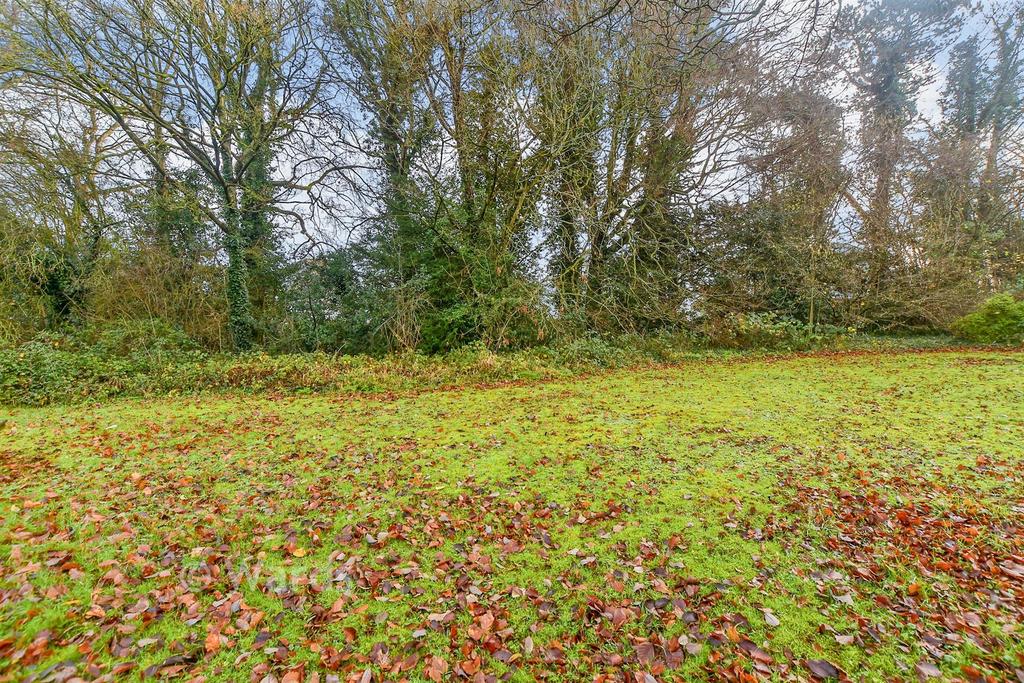Surrounding Area