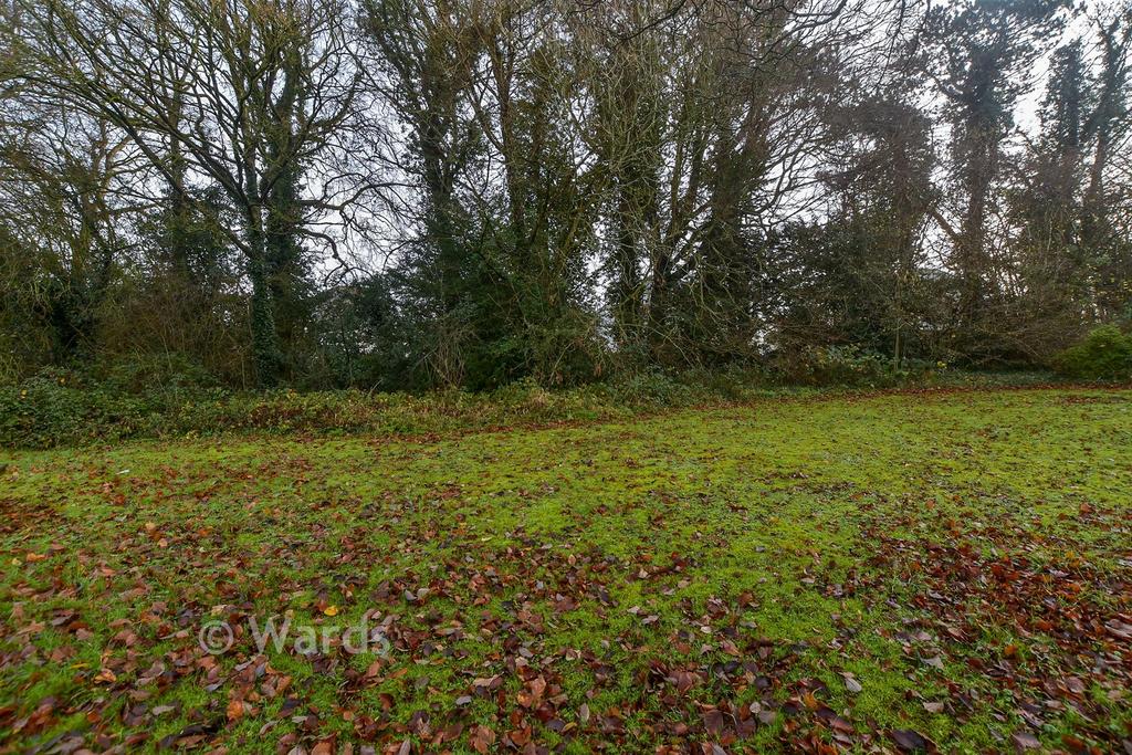 Surrounding Area