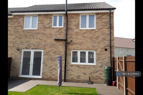 3 bedroom semi-detached house to rent, Meerkat Mews, Stanway, Colchester, CO3