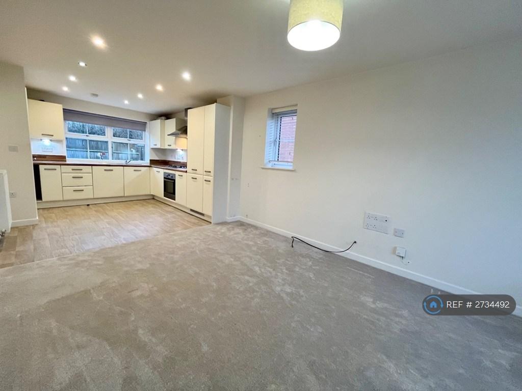 Living / Kitchen Area