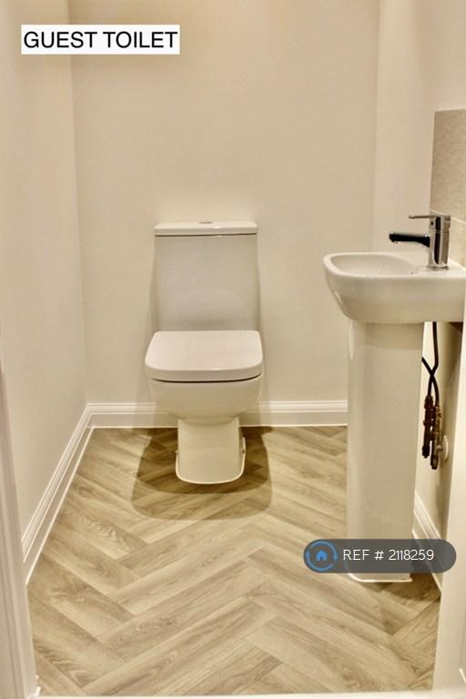 Guest Toilet