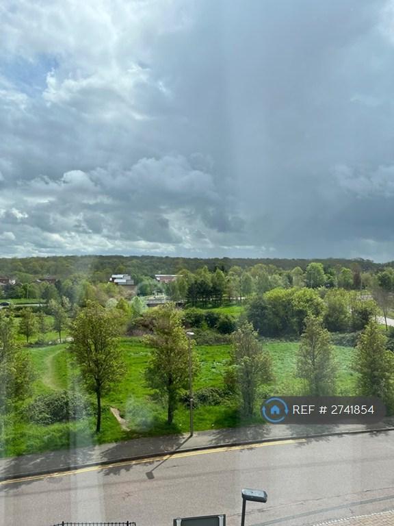 View From Lounge