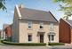 Peregrine at The Paddocks, NE61 Cottingwood, Morpeth NE61