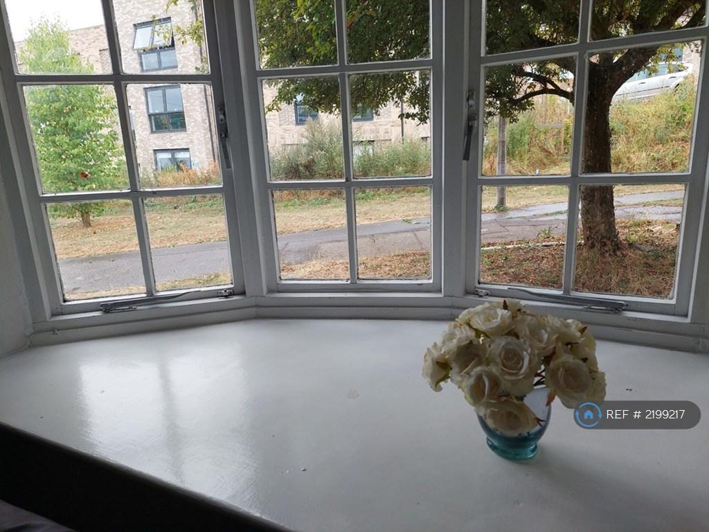 Lounge Bay Window