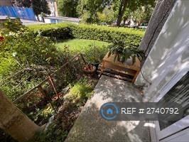 Patio And Gardens