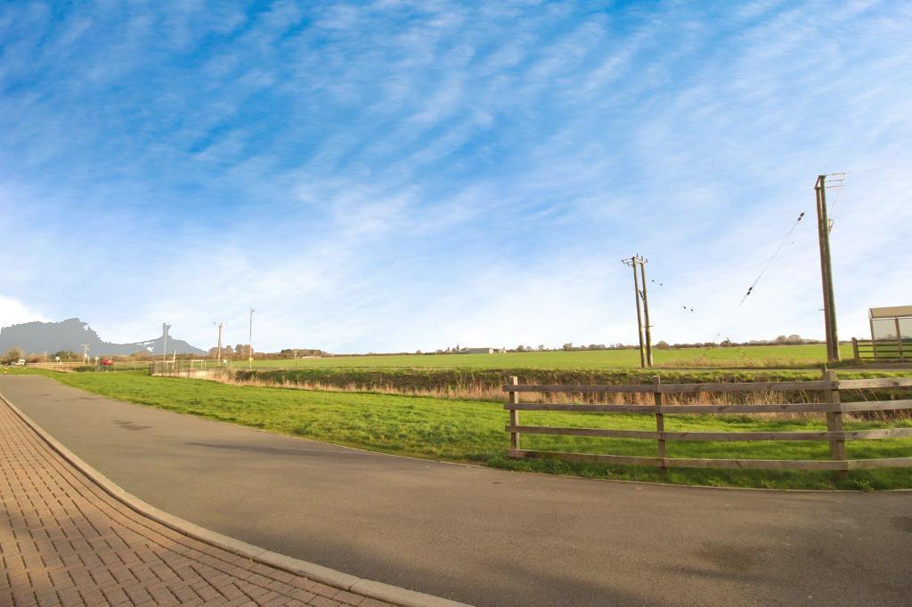 Field views to front aspect