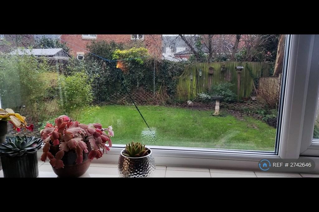 Garden1