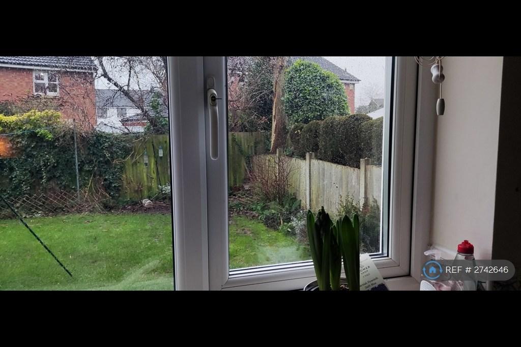 Garden2
