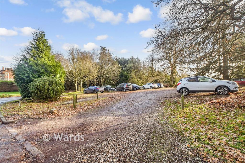 Driveway/Parking