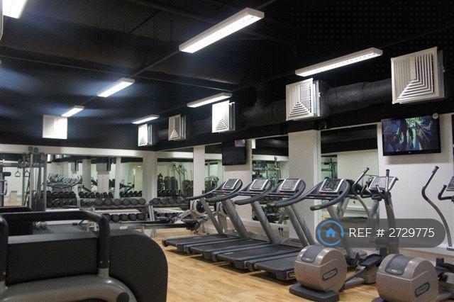 Private Gymnasium