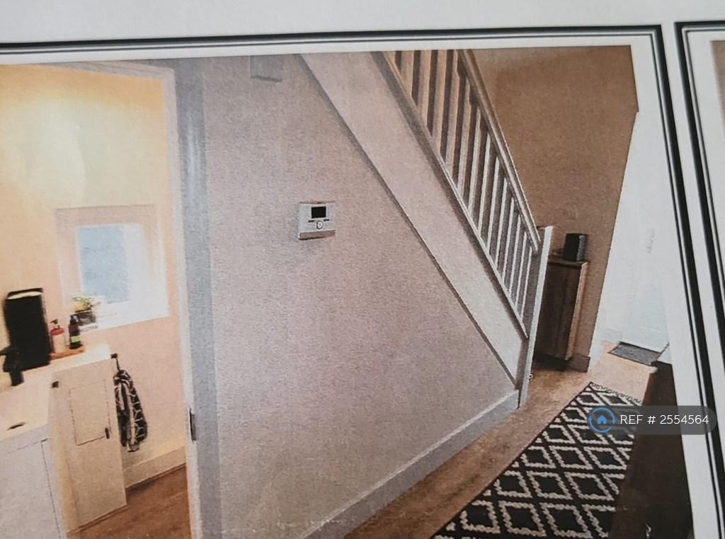 Downstairs Hallway