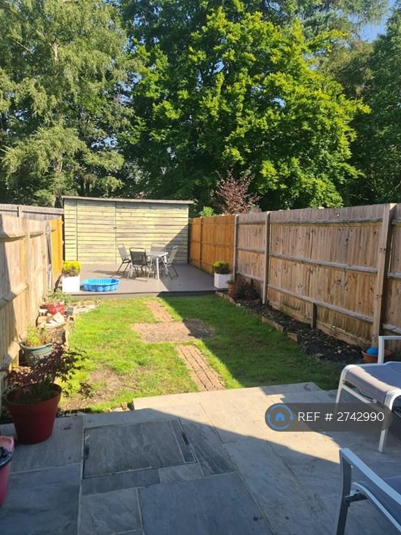 Back Garden