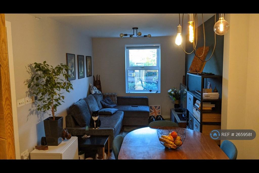 Living Room Sofa Area