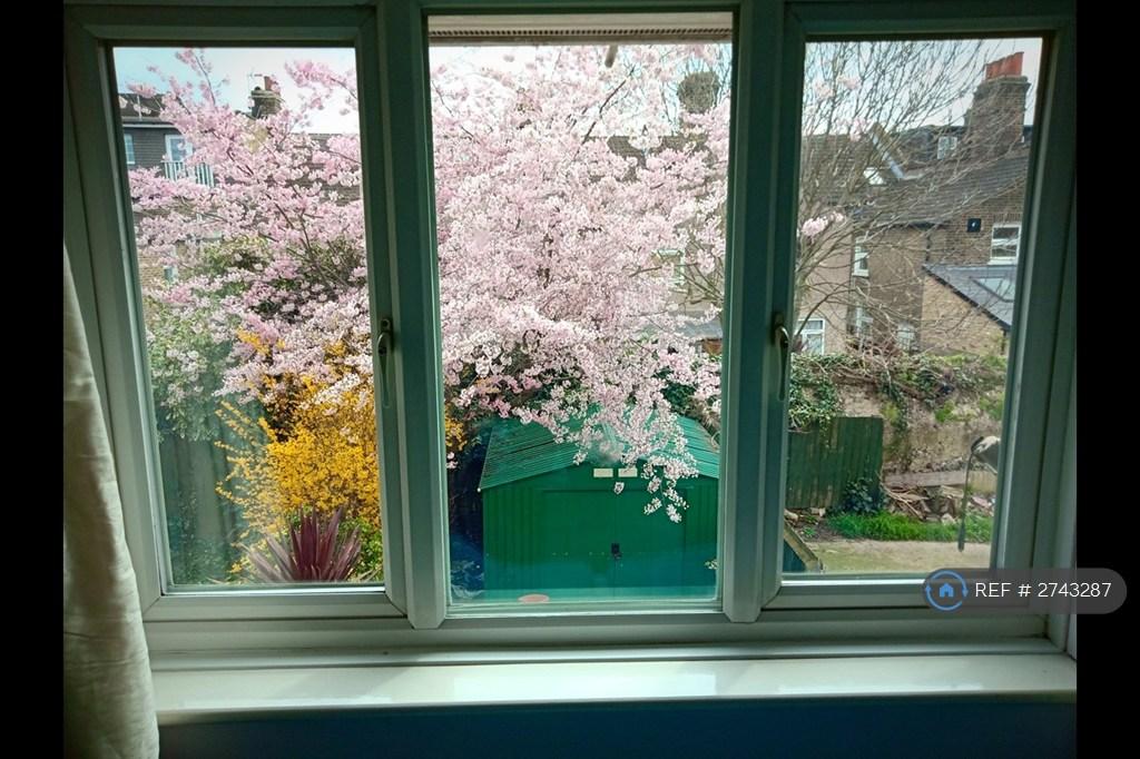 Bedroom1 Garden View