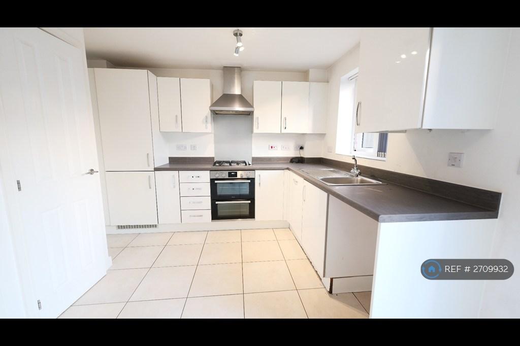 Modern Kitchen