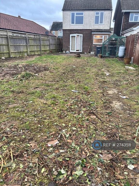 Back Garden