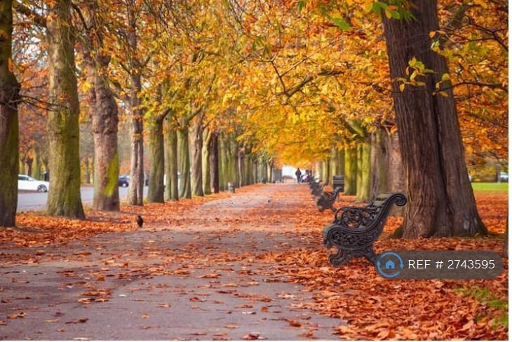 Battersea Park