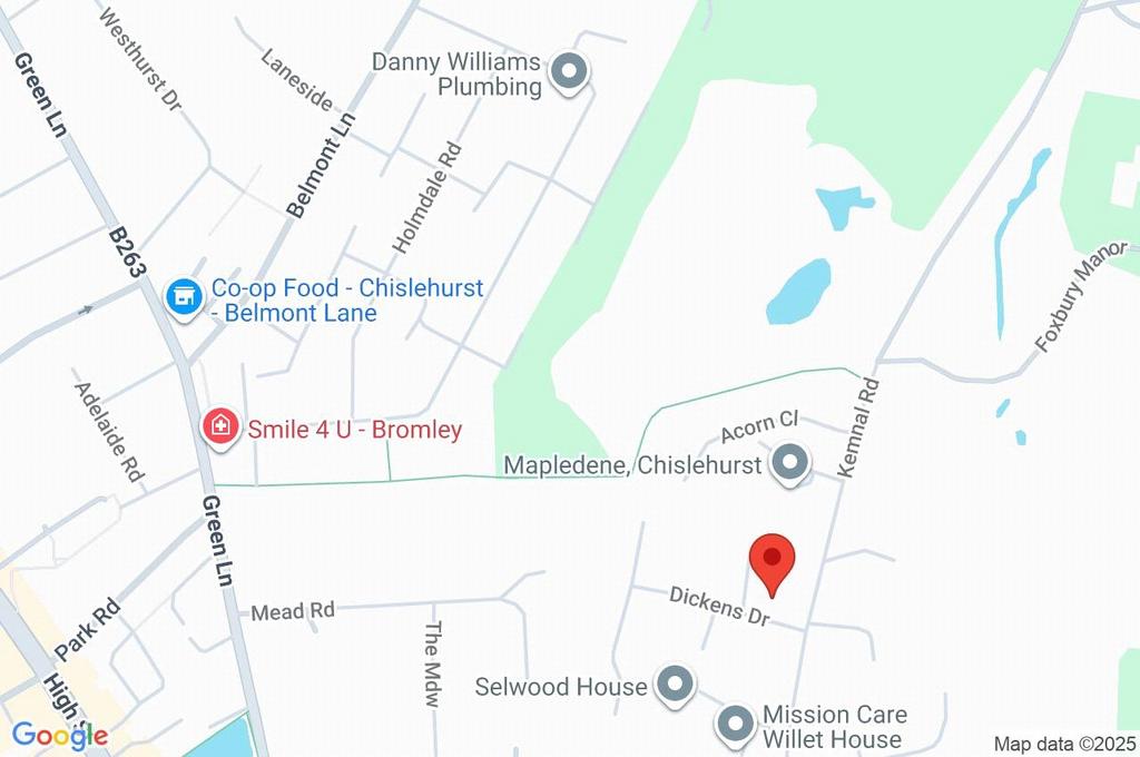 Google Maps Image