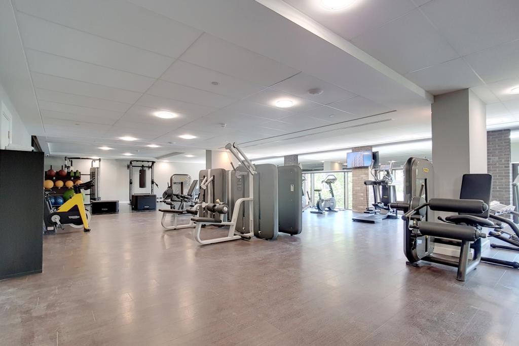 17 Gym 3