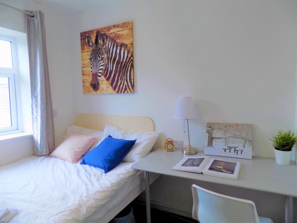 A bright and tidy single bedroom featuring a co...