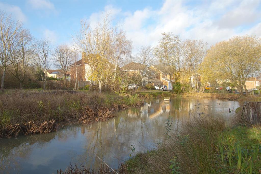 POND.jpg