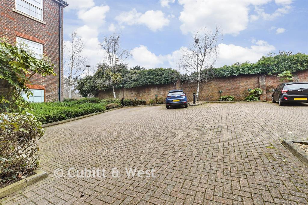 Driveway/Parking
