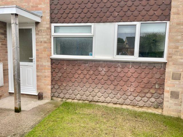 Image1
