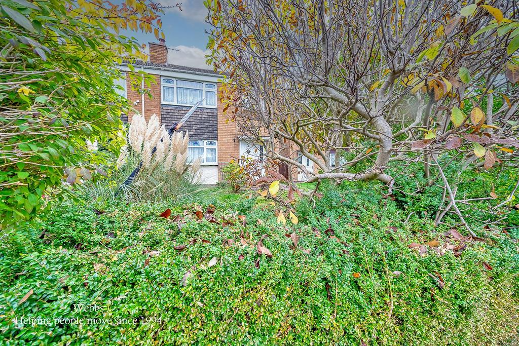 Webbs-1.JPG