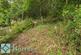 Additional image 29 of Rock Terrace, Llanidloes SY18