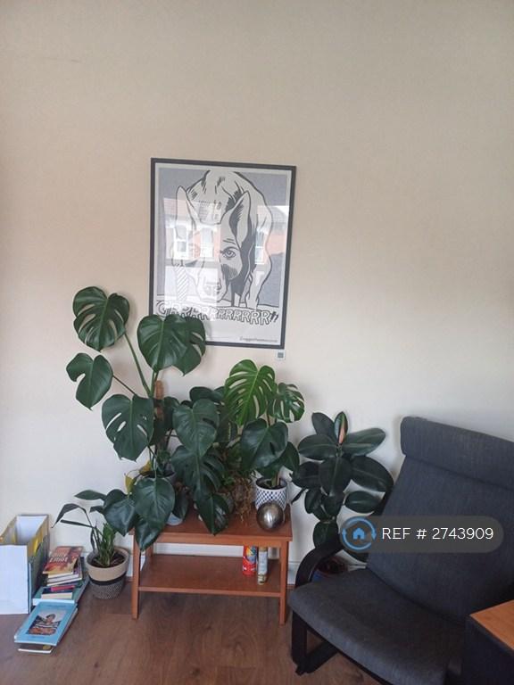 Wall Of Living Room