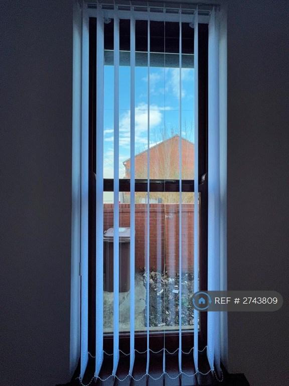 Bedroom Window