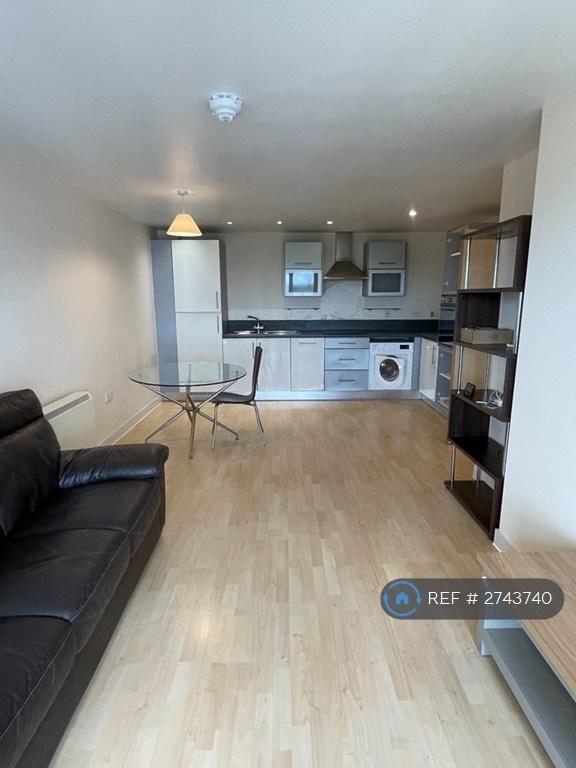 Lounge + Kitchen