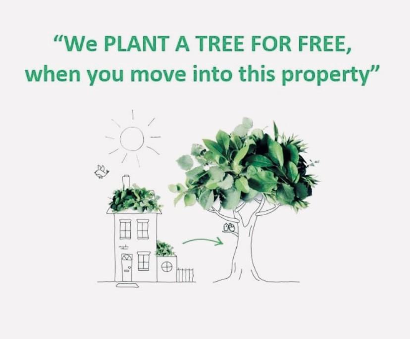 Plant a tree