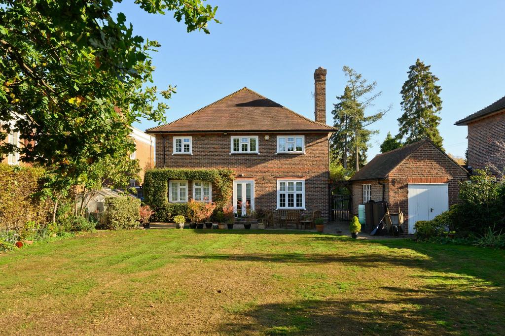 Rear Aspect