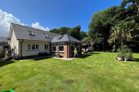 undefined, Dolphin Court, New Quay, SA45