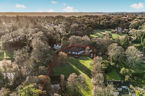 undefined, Beechwood Lane, Burley, Ringwood, Hampshire, BH24