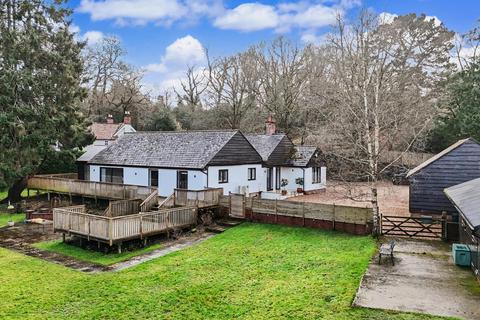 3 bedroom bungalow for sale, Beechwood Lane, Burley, Ringwood, Hampshire, BH24