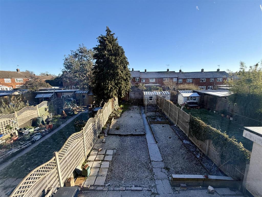 IMG 8688.jpeg
