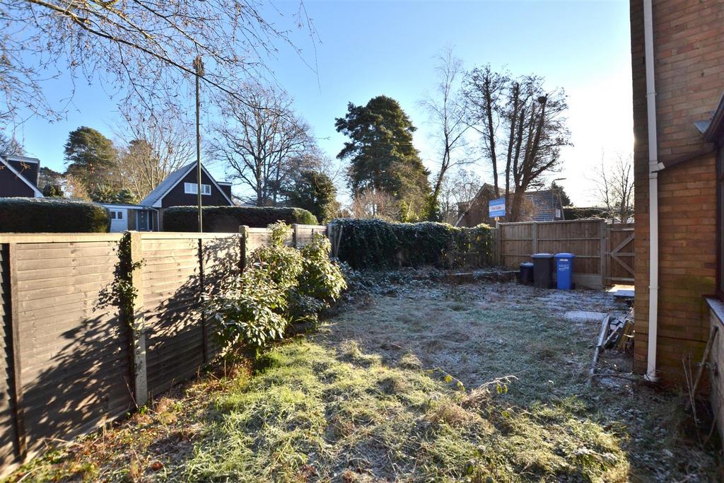 Garden 4.JPG