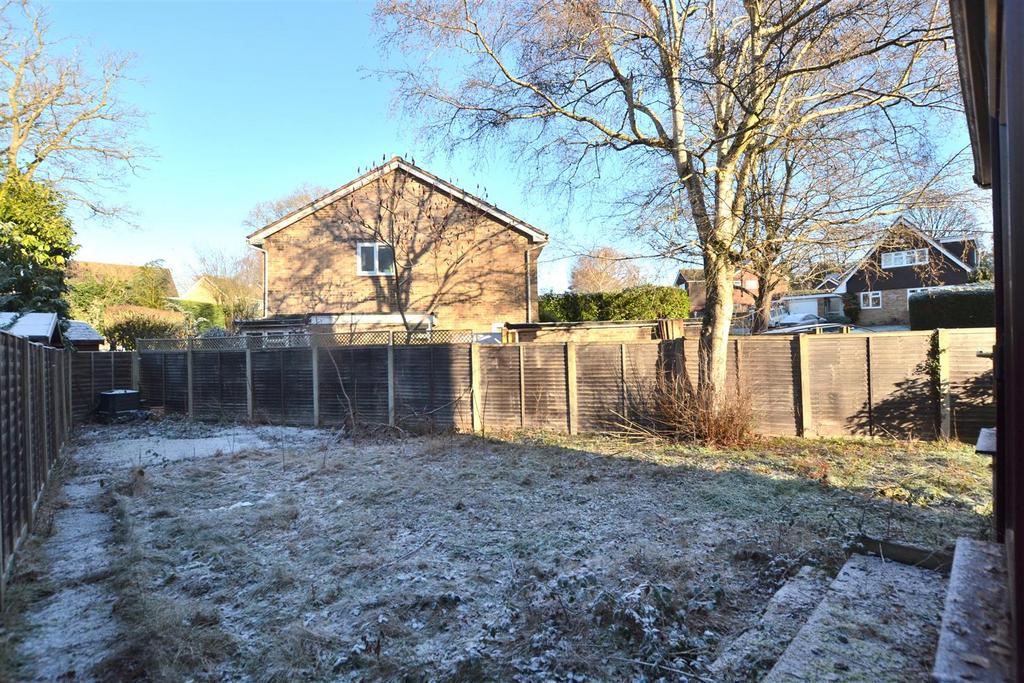 Garden 5.JPG