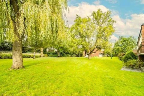 1 bedroom apartment to rent, Christchurch Avenue, London, NW6