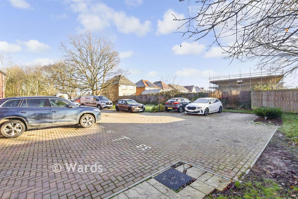 Driveway/Parking