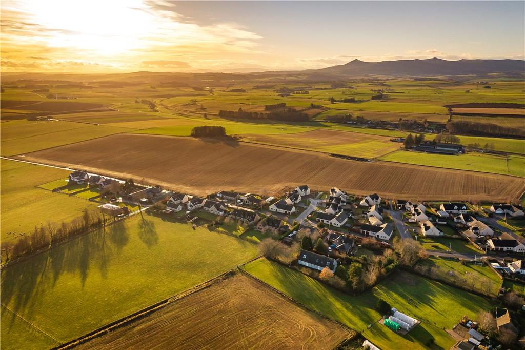 Aerial Image