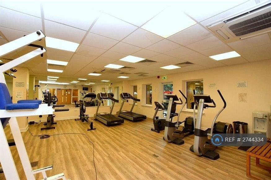 Free Gym &amp; Sauna