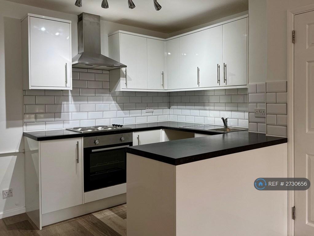 Modern Kitchen