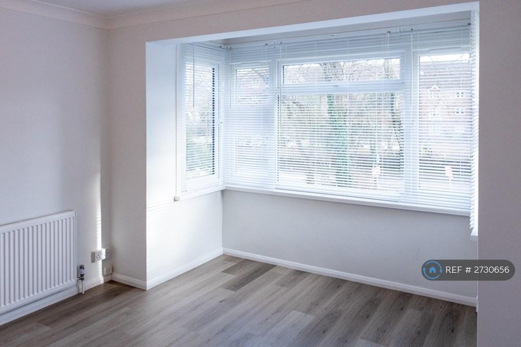 Bay Window
