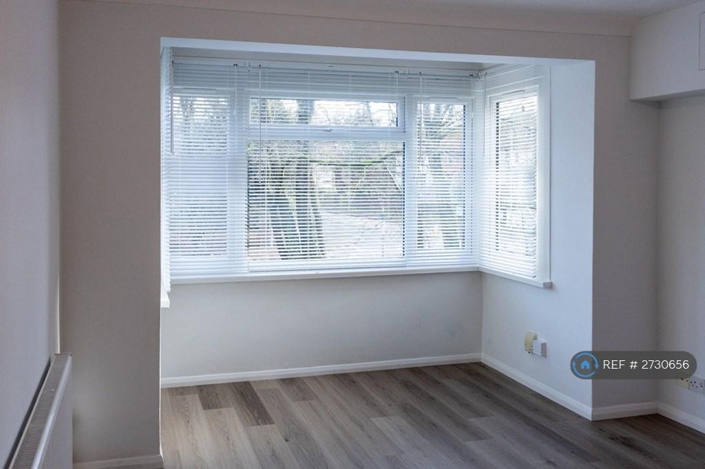 Bay Window