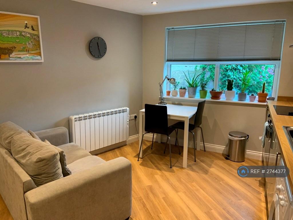 Kitchen/Living/Dining
