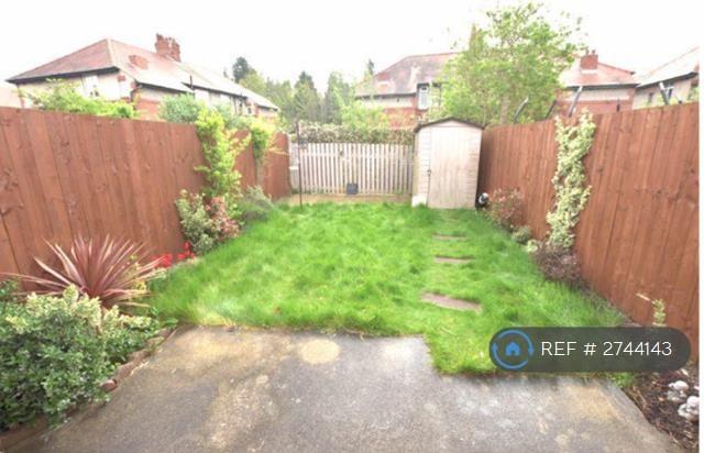 Back Garden With Patio