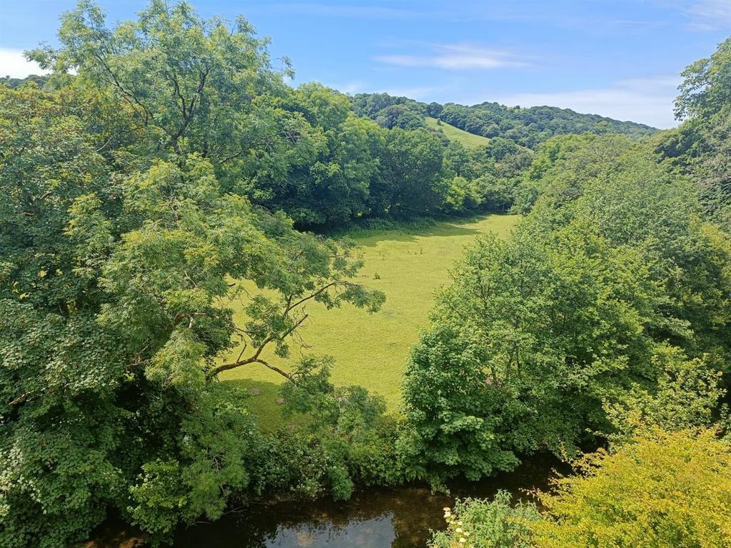 View in Summer.jpg